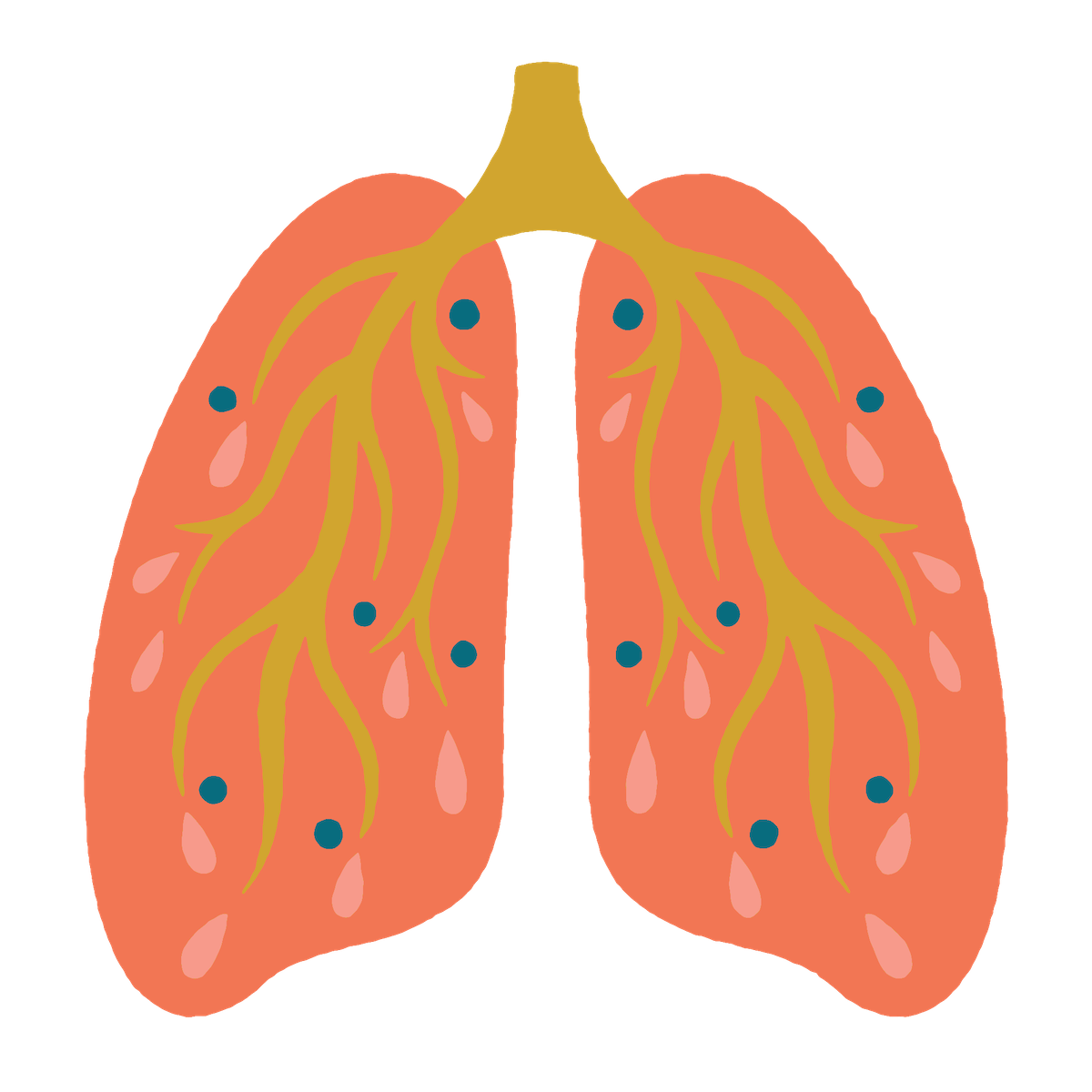 A simple illustration of human lungs in pink with yellow bronchi, blue dots, and pink droplet shapes scattered across both lungs on a black background.